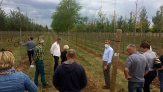 Visite des pépinières Guillot-Bourne II lors de la journée MPS/Excellence végétale du 24 septembre 2020. ©MPS